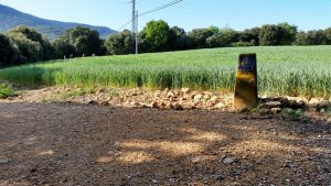 Caminhos Peregrinos - Rumo ao mágico