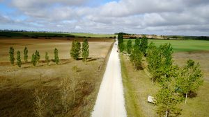 Caminhos Peregrinos - Rumo ao mágico