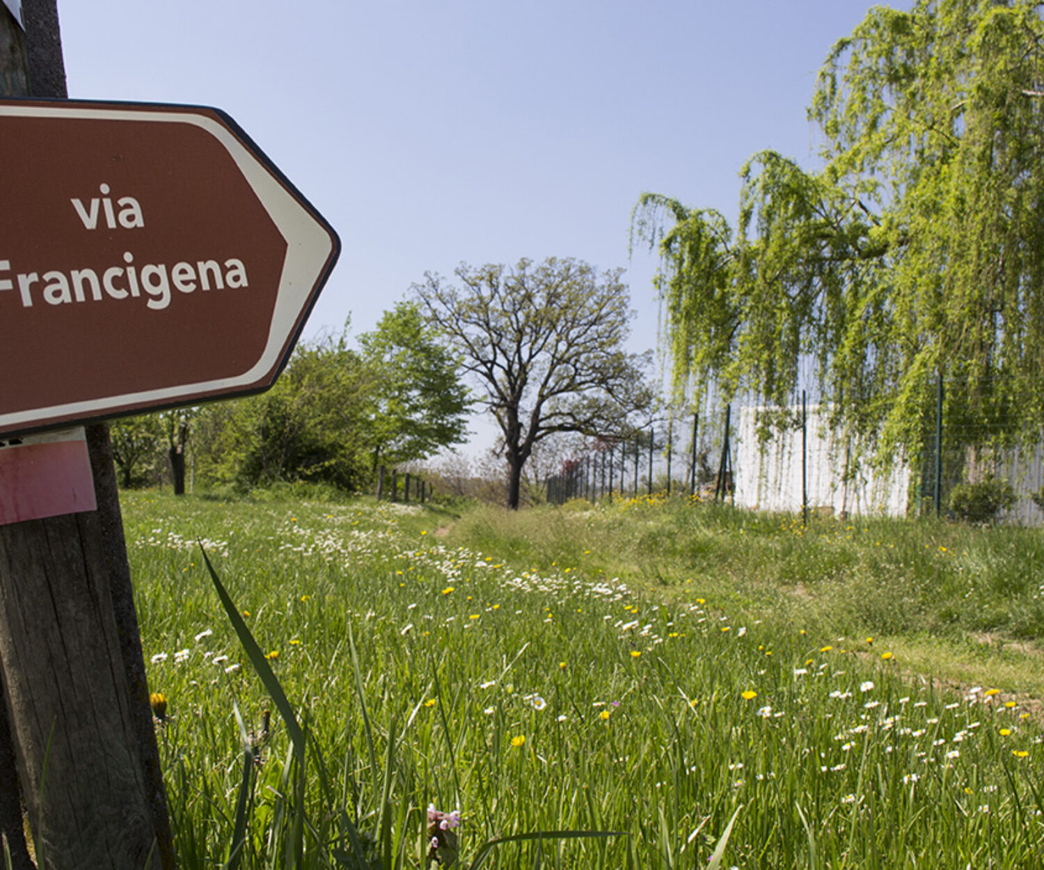 Dia14 - Emilia Romagna - Medezano